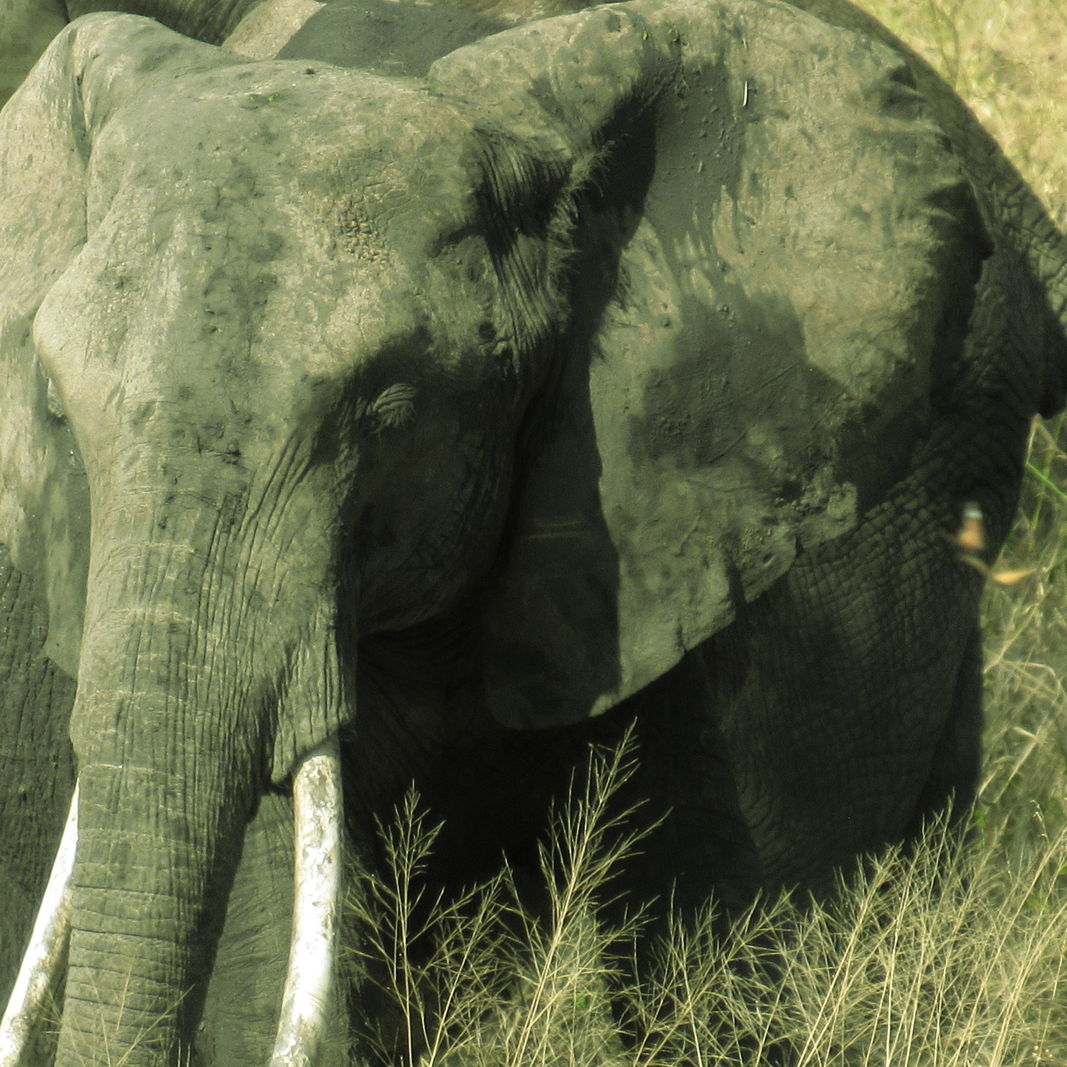 what a strange world