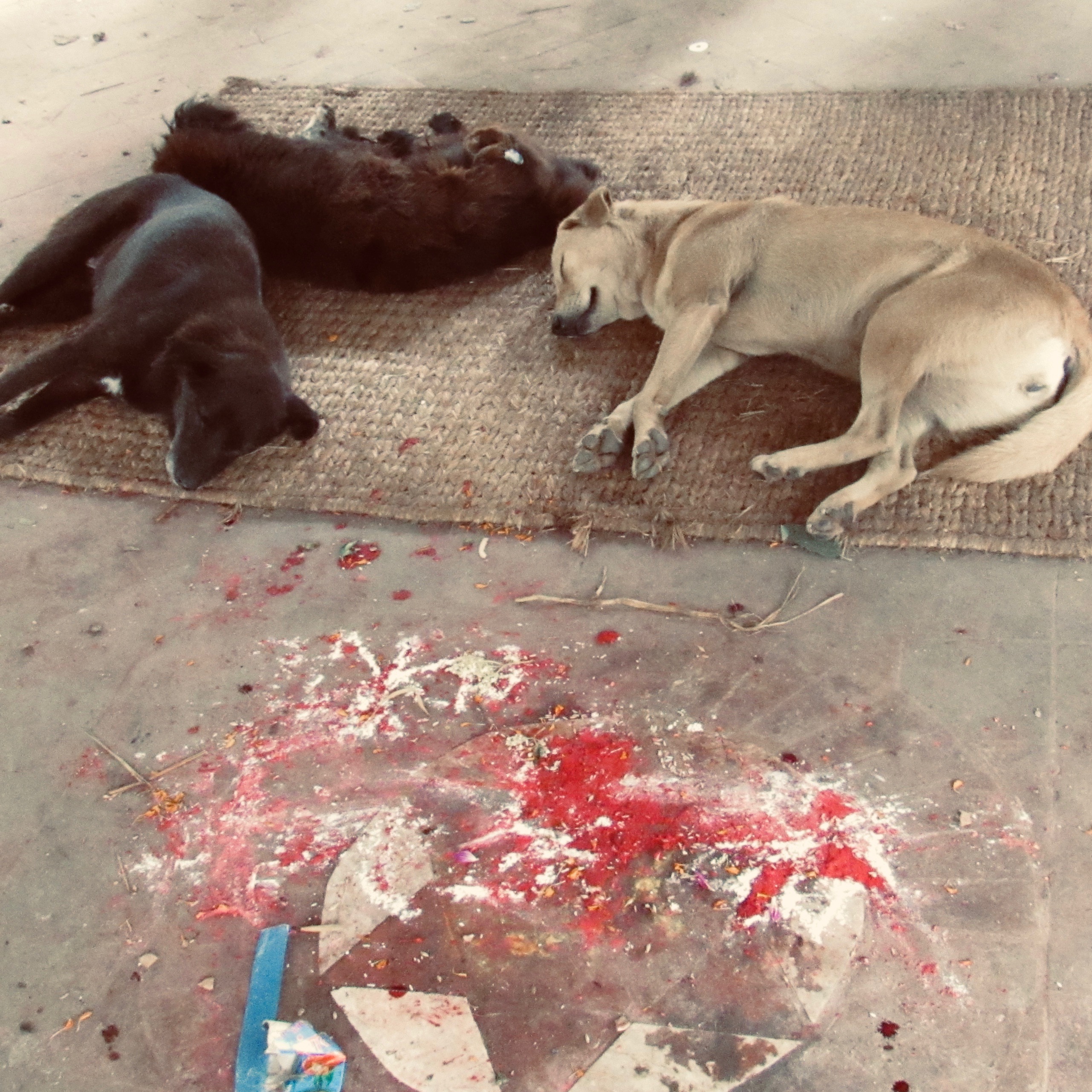 Now moving the breath