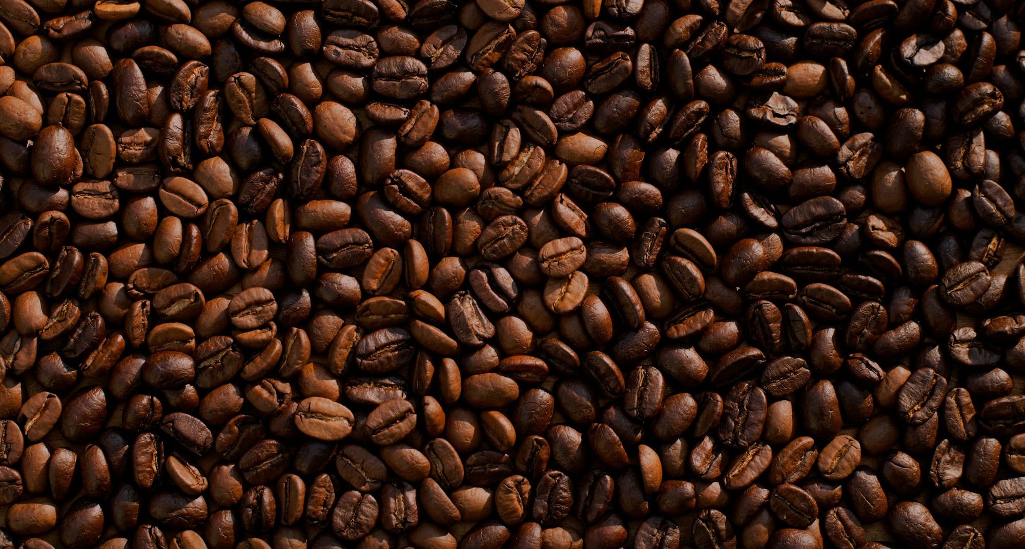coffee bean lot