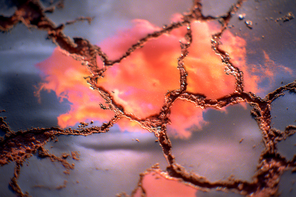 We Built an AI Workflow in 7 Hours