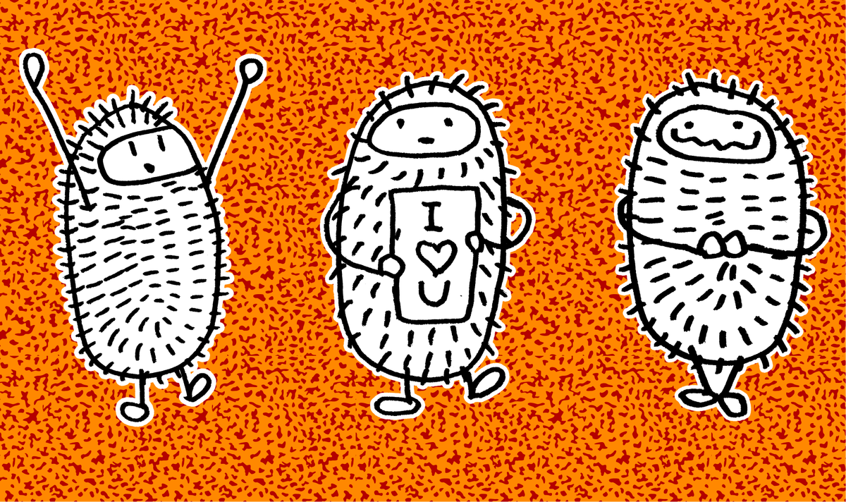 Peter. A tiny companion for a big, complicated world.