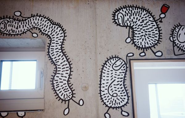 E-flux and the Return of the Peters