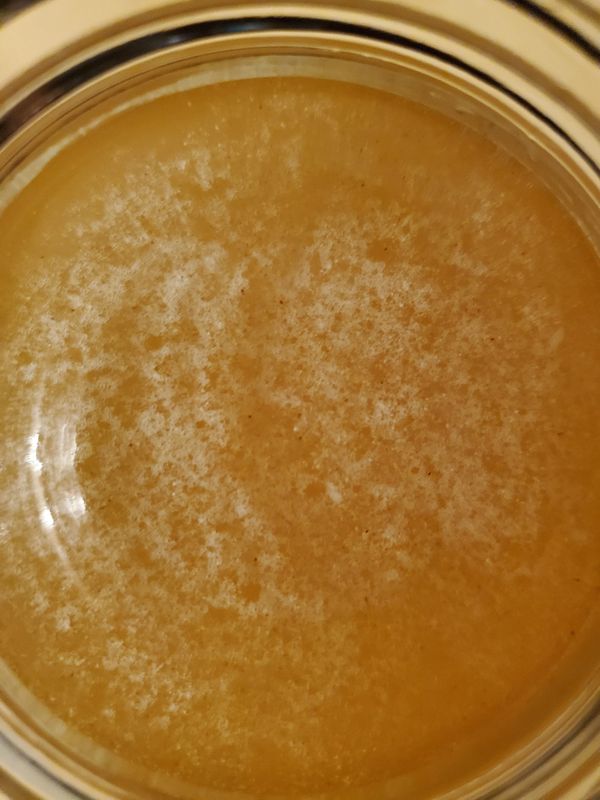 Cleopatra I and Bouduca I