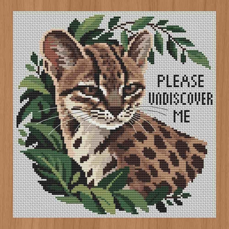 Tilcayo Cat: Please Undiscover Me