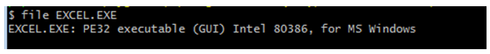 Versión Excel