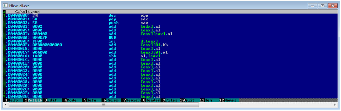 Hiew Malware ensamblador