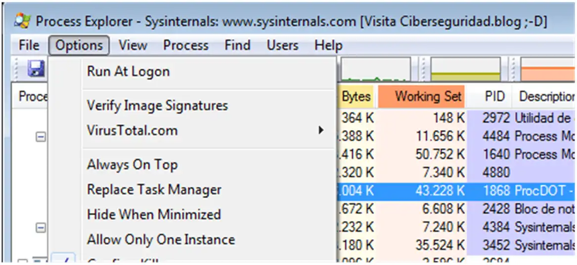 Opciones Process Explorer