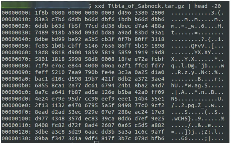 GZIP Havoc Virus Total