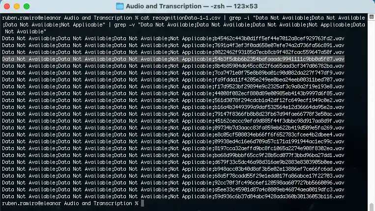Audios sin información
