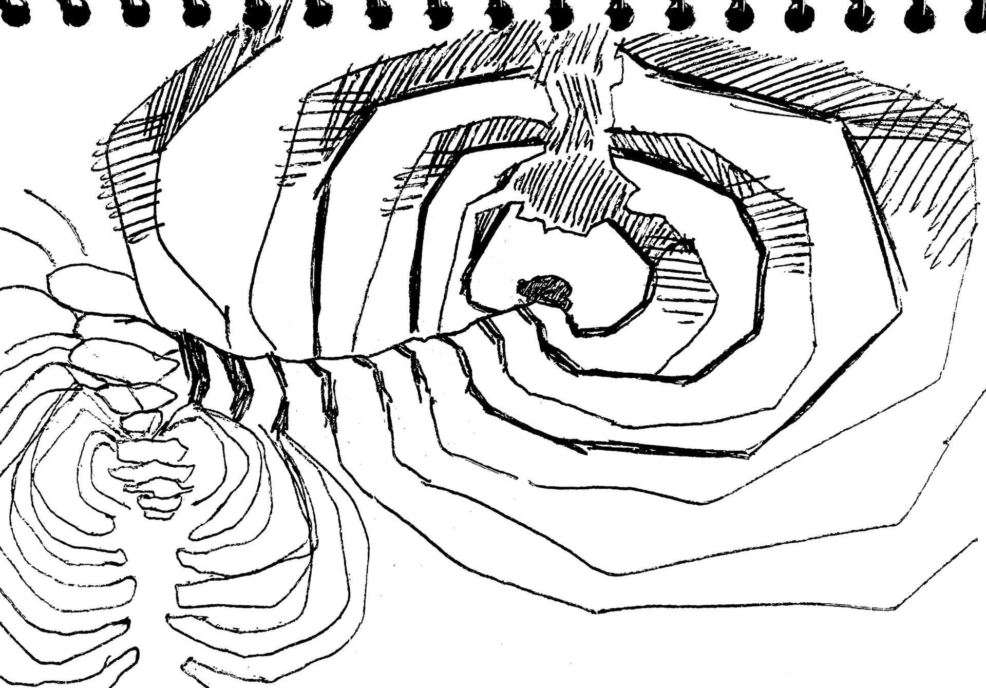 A rough pen drawing of the inside of a ribcage.