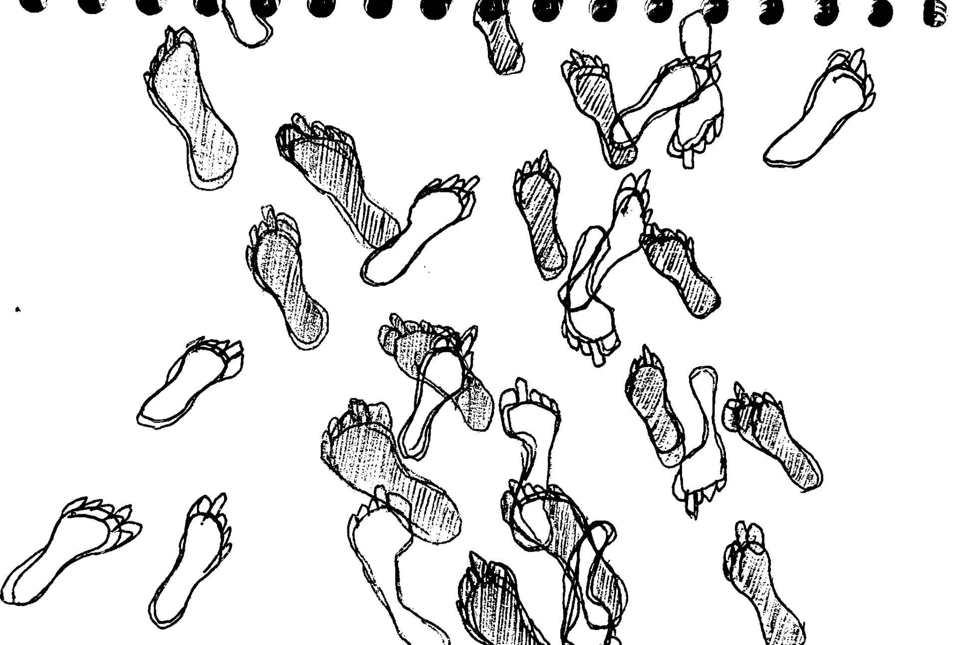 Rough pen drawings of footprints with a pronounced longer second toe.