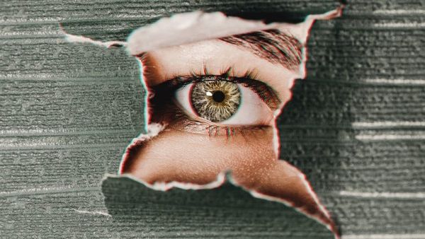 brown human eye