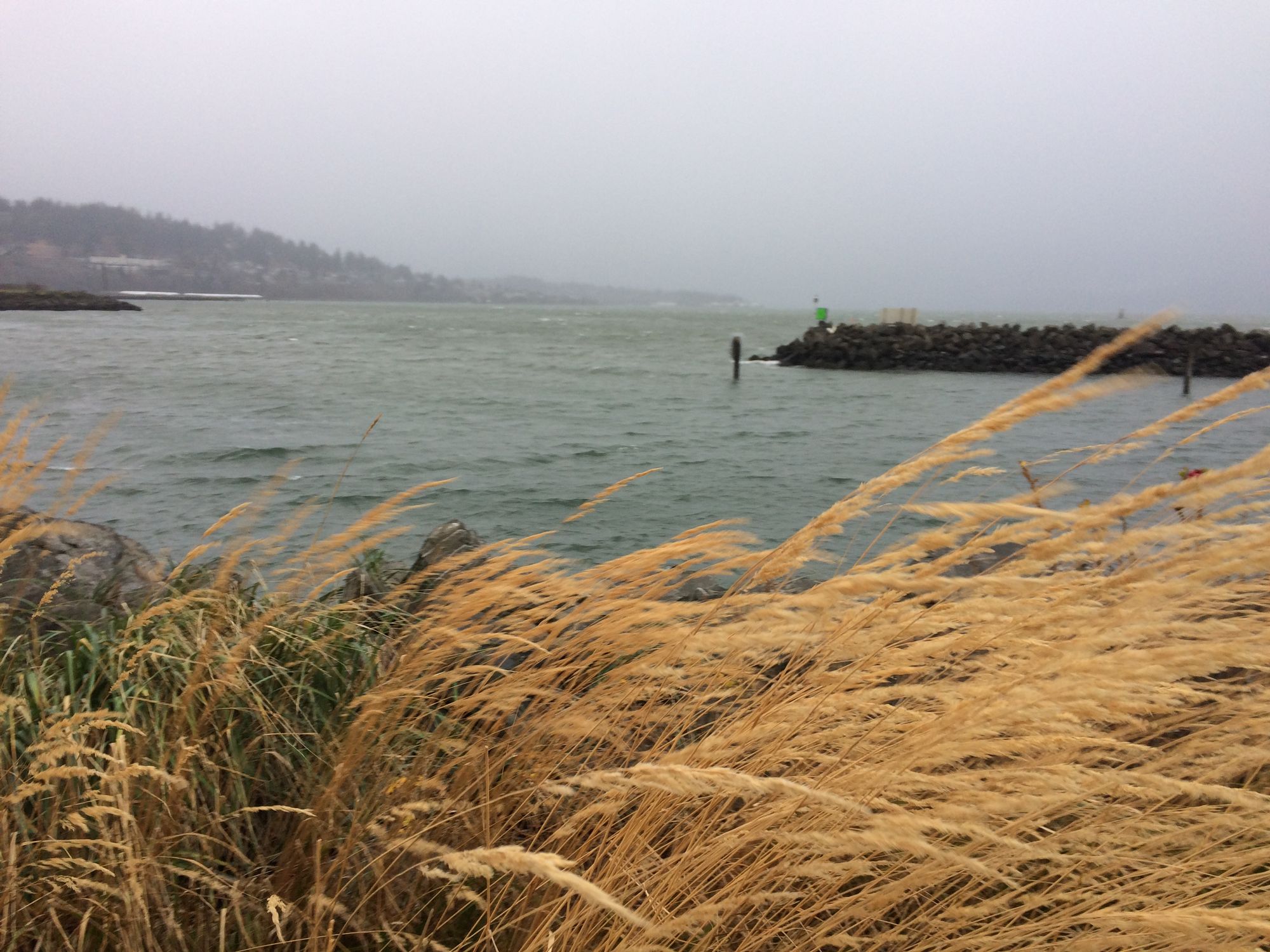 The Dead Letter Department