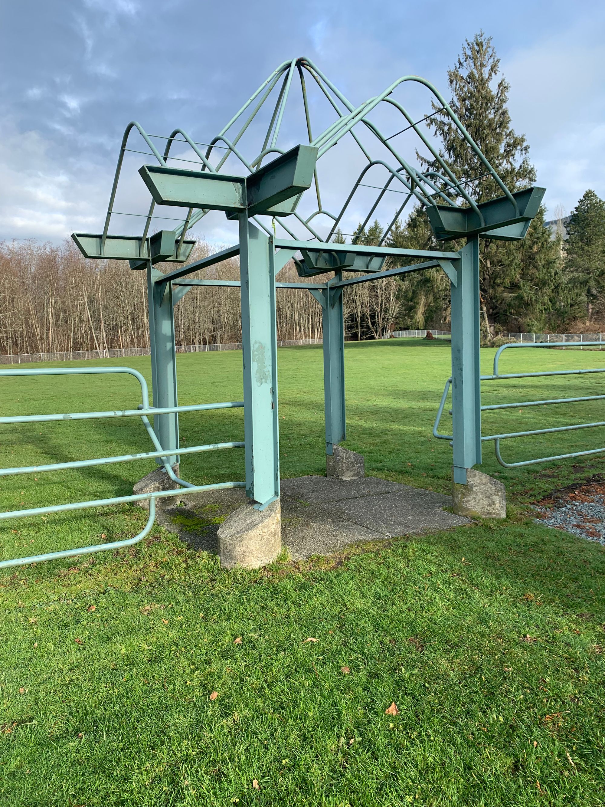 green metal gate, green field, row of trees beyond