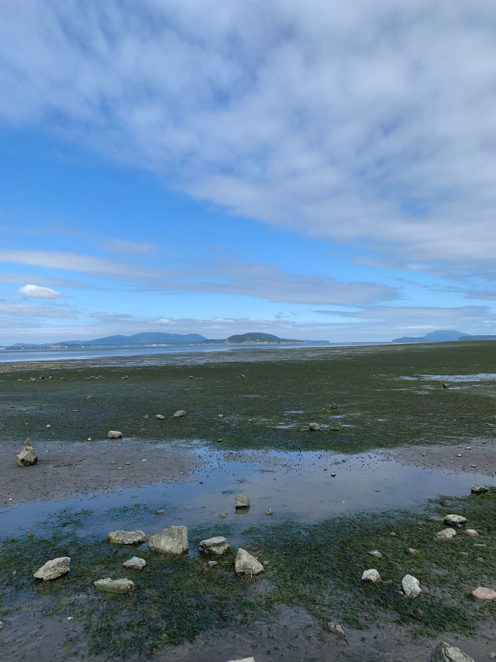 low tide sandy beach with rocks & seaweed, green islands in the distance, blue & white sky above