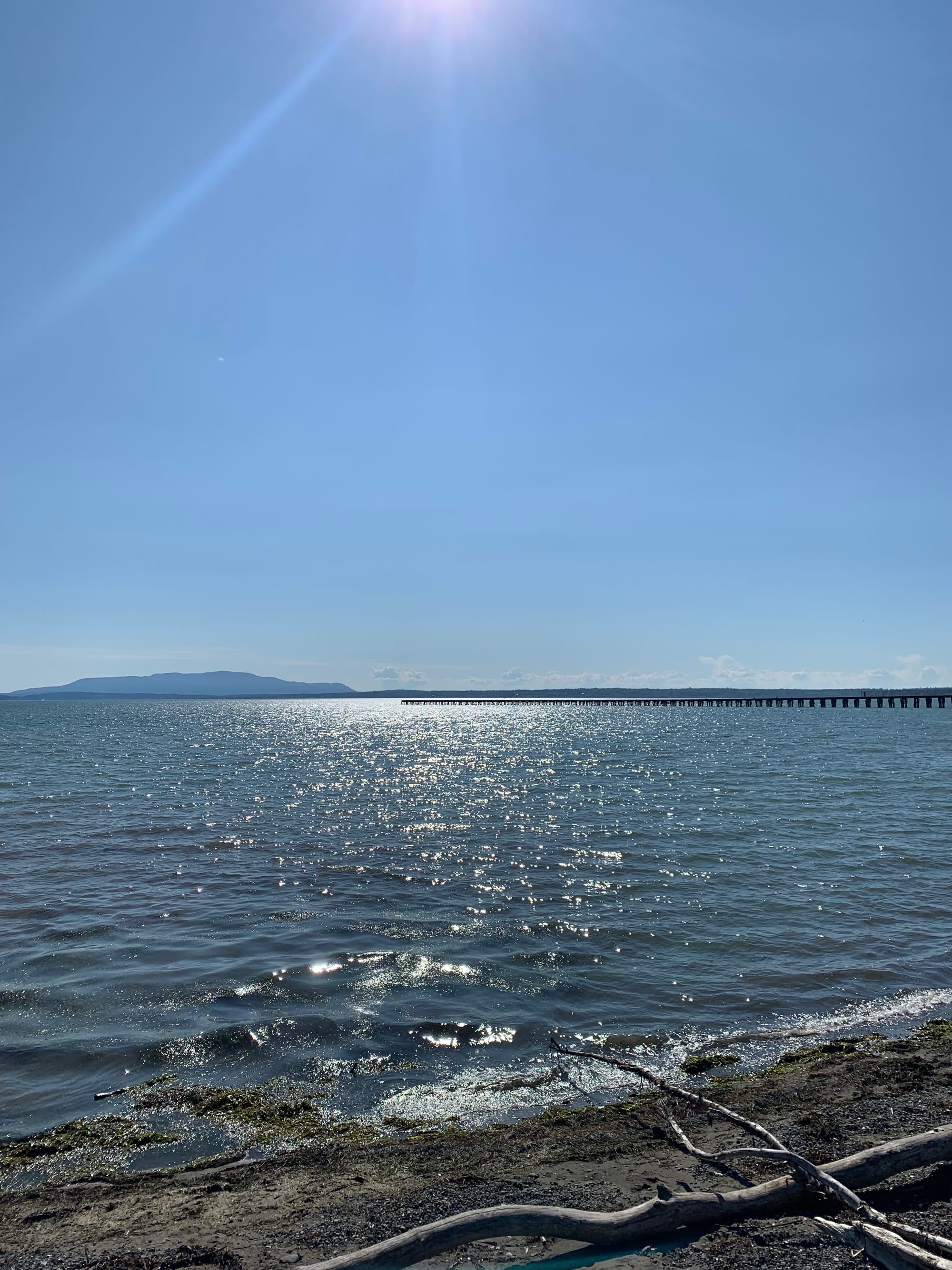 blue skies, islands in the distance, a long pier off to the right, grey sparkling water, brown beach sand & driftwood