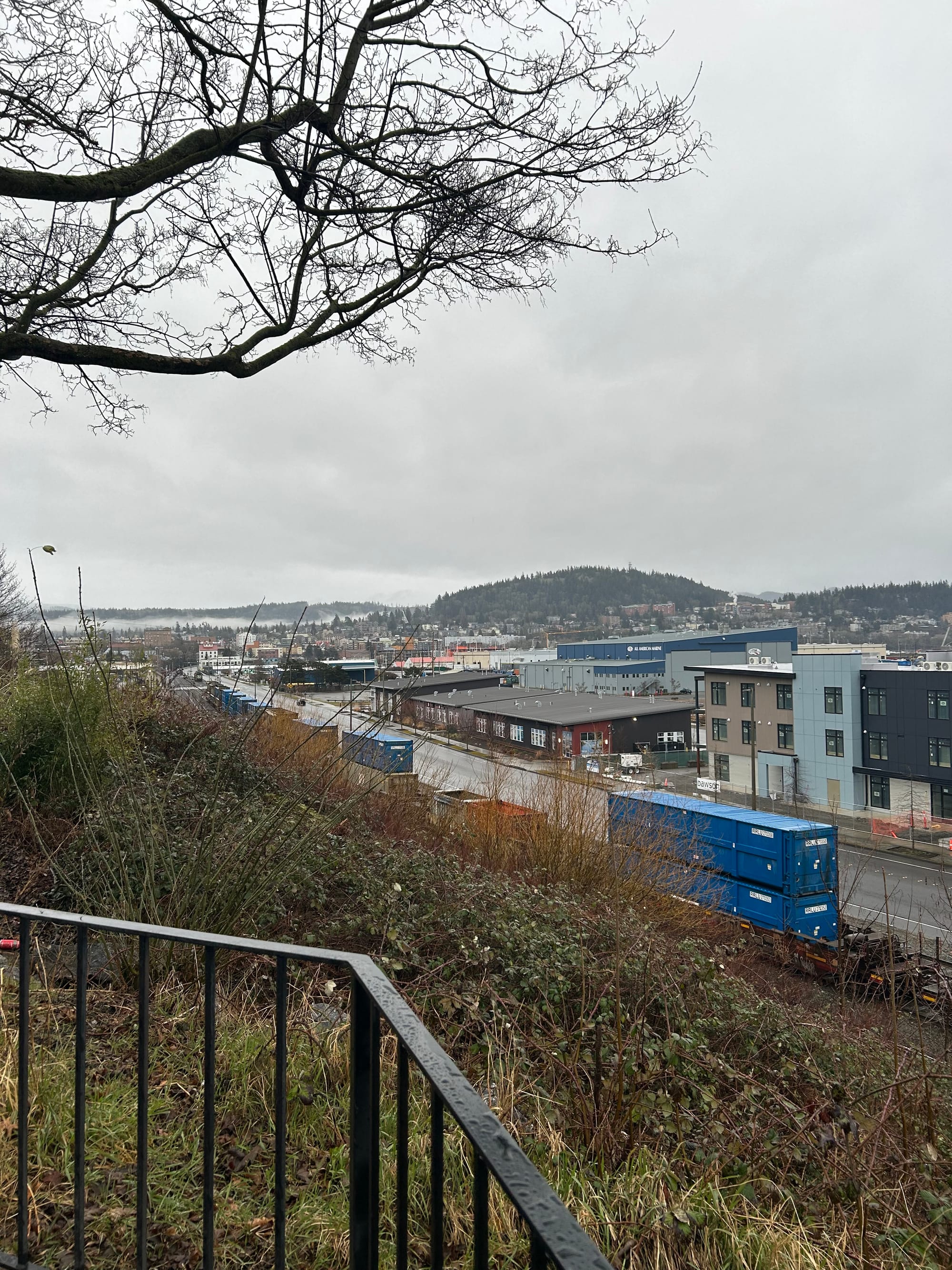 metal fence, slope covered in blackberries, view of train tracks & city buildings beyond, hills in the distance with a band of fog
