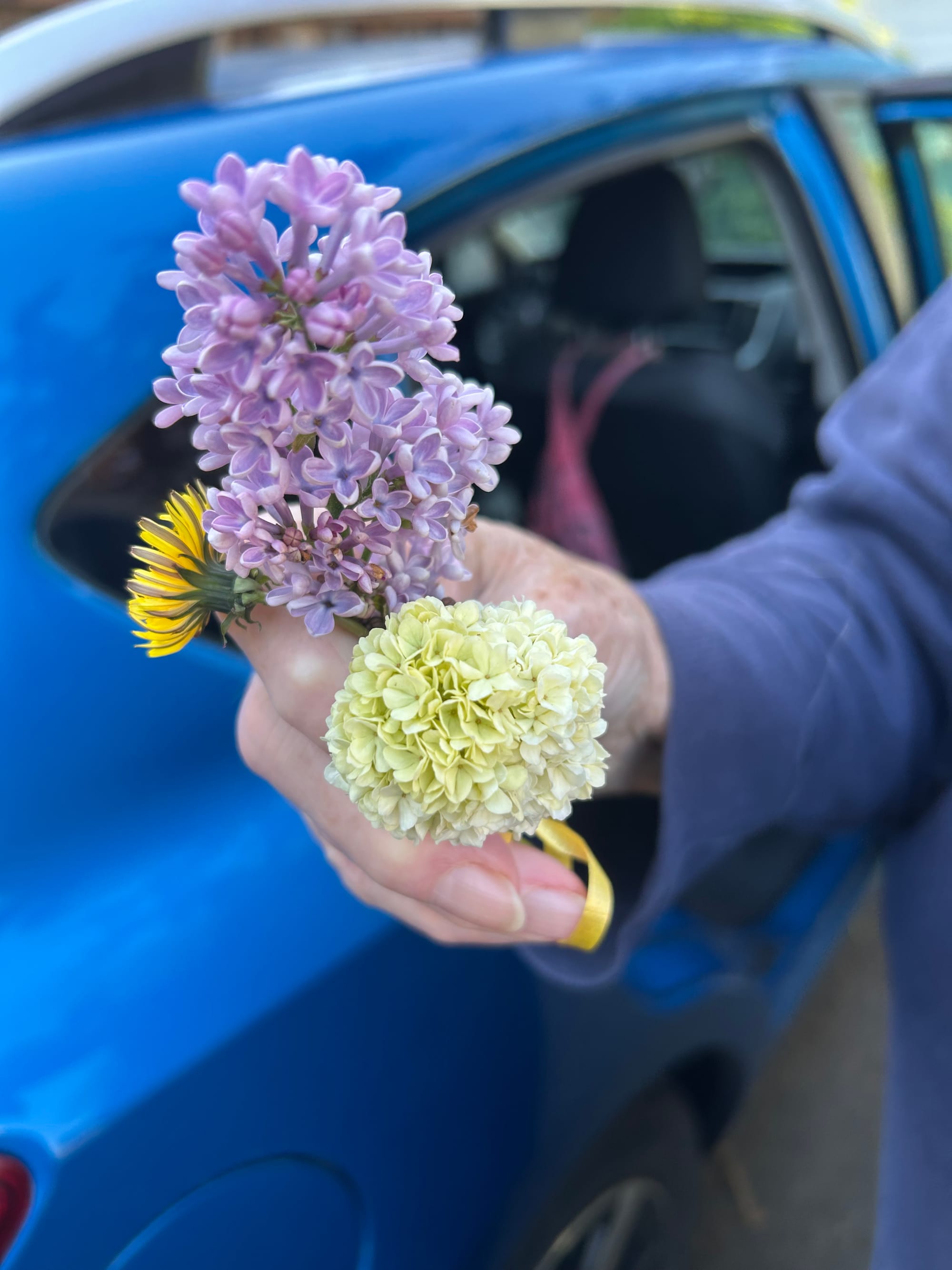 a small bouquet of lilacs, a dandelion & a white hydrangea tied with yellow ribbon being held up a hand, background is blue sleeve & blue car with open door