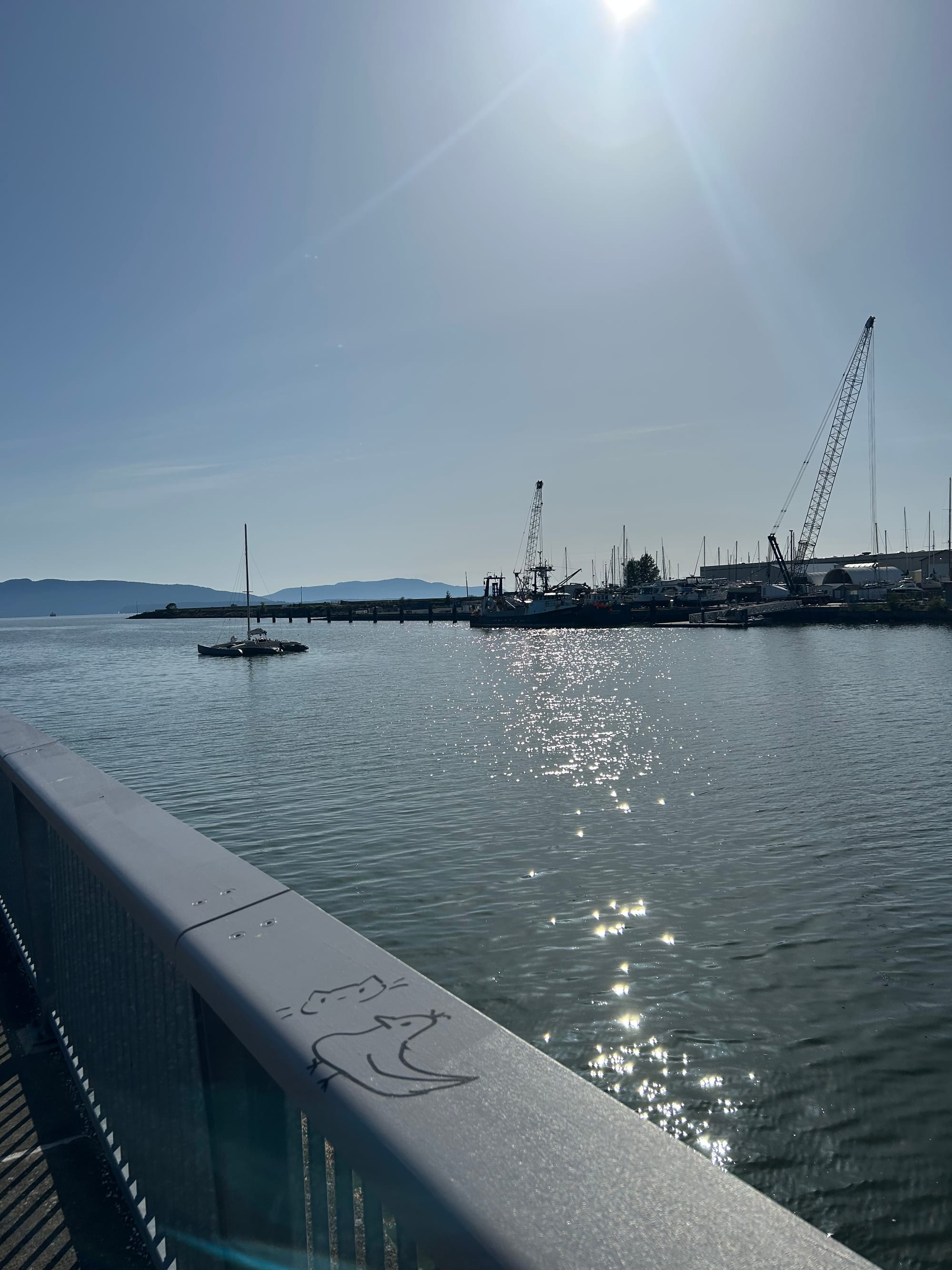 a long metal railing with graffiti of a bird & a cat face, shining grey-blue water, cranes visible in the distance, islands farther out, a sailboat with furled sails