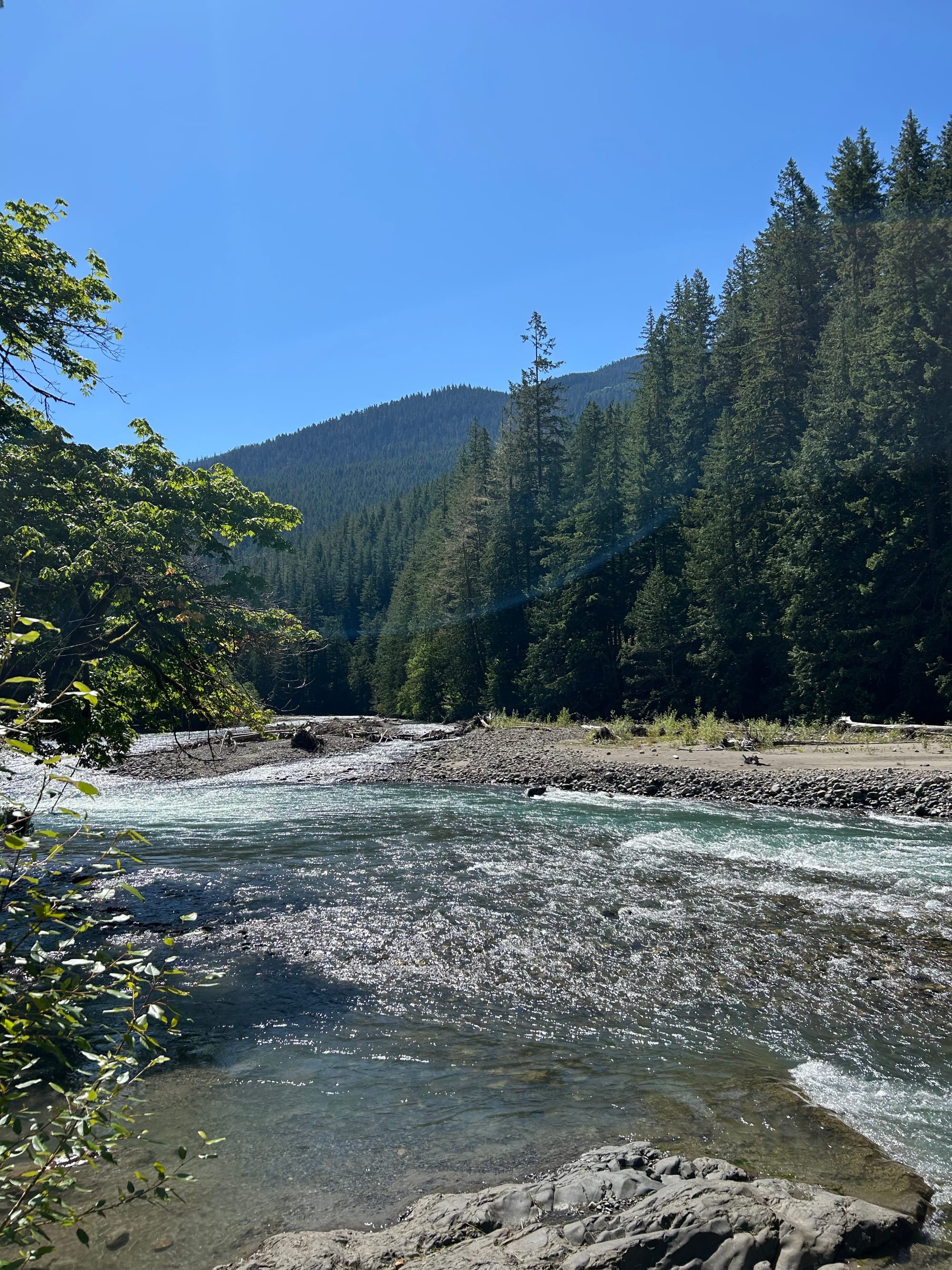 blue sky, tall green trees, a fast flowing river with streaks of green blue, rocks underfoot