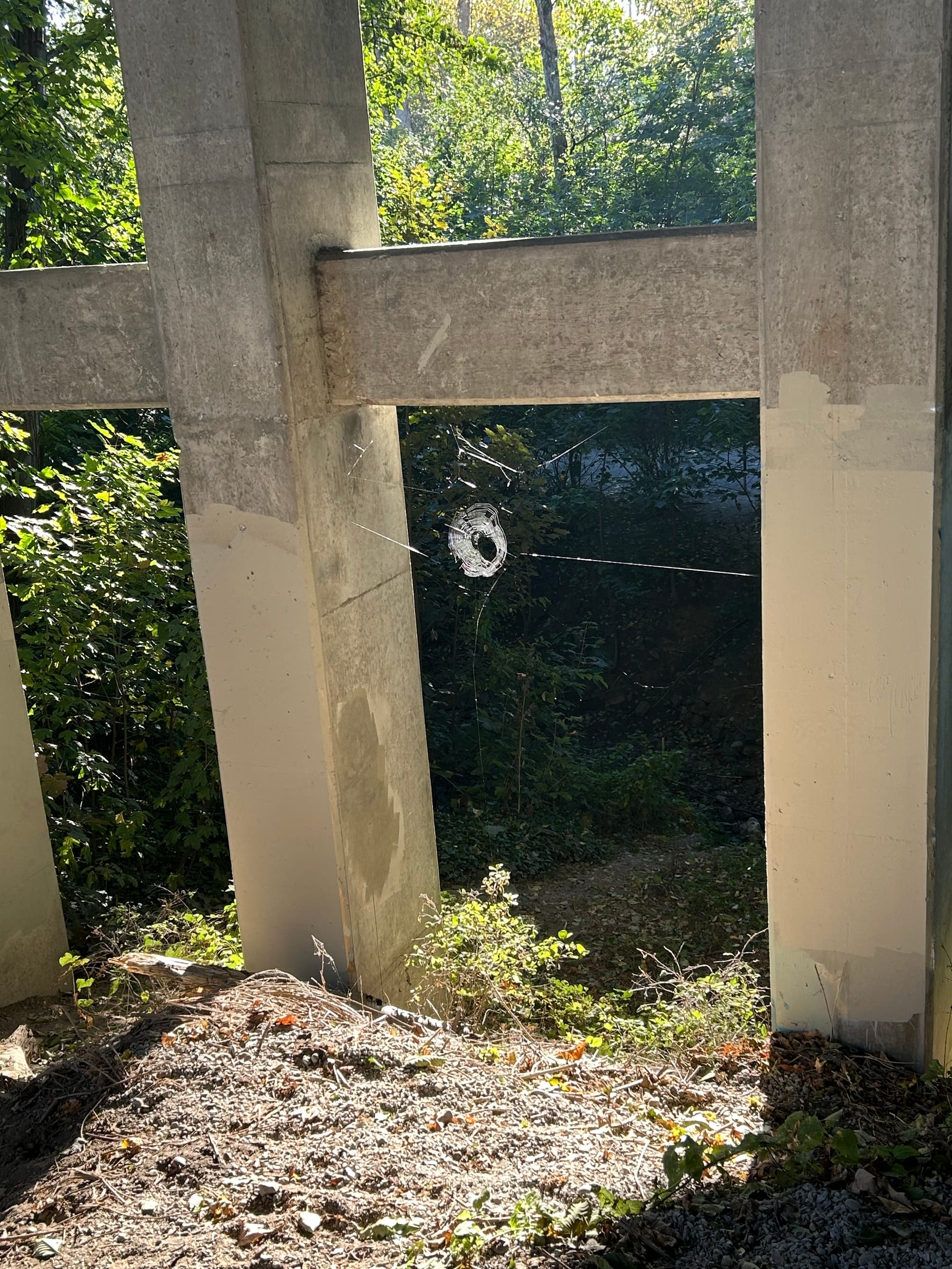 woods in background, pillars of a concrete overpass with a spider's web illuminated by the sun. a large circular hole is in the middle of the web.
