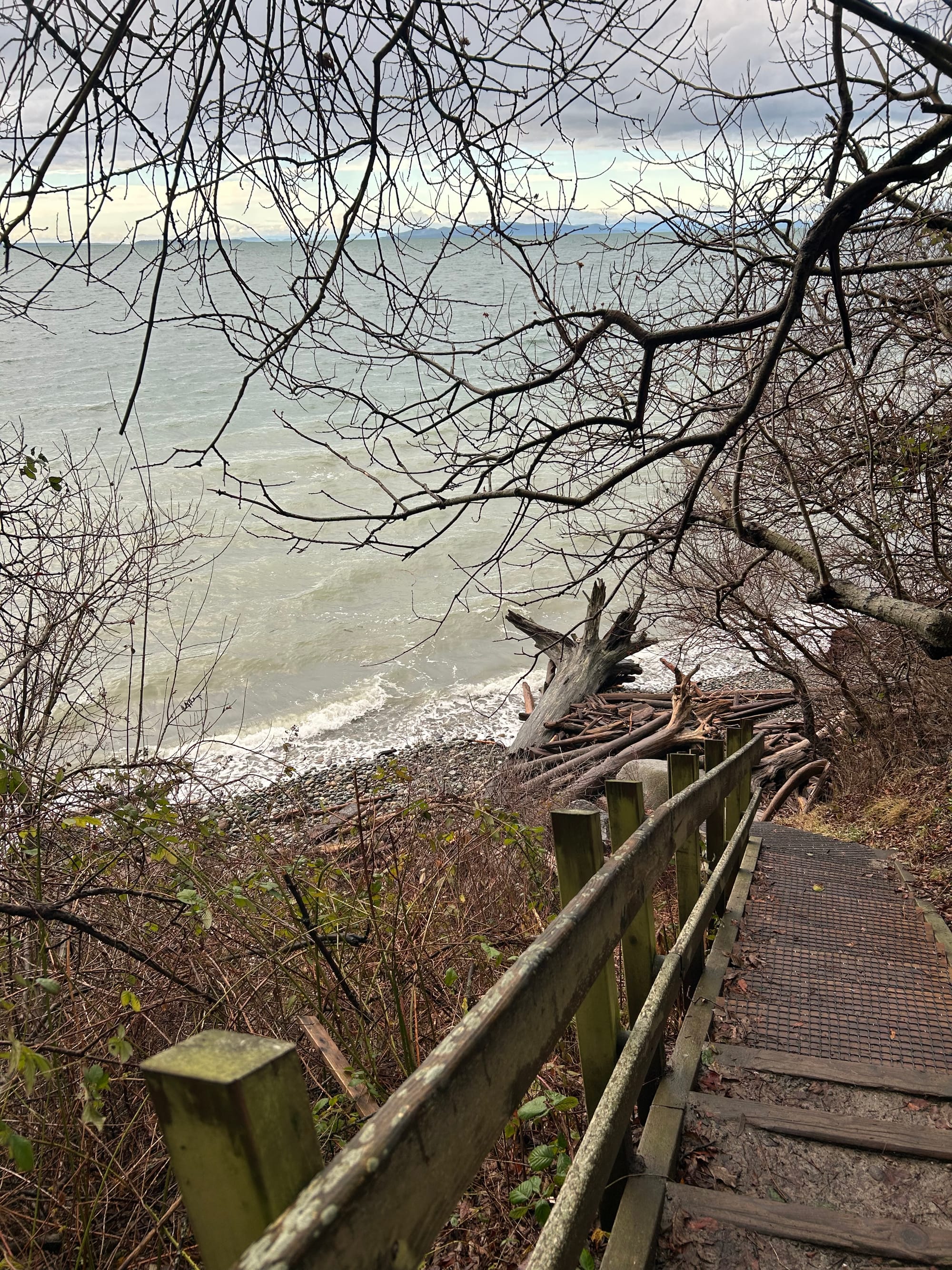 steep steps down to a rocky beach with a big pile of driftwood