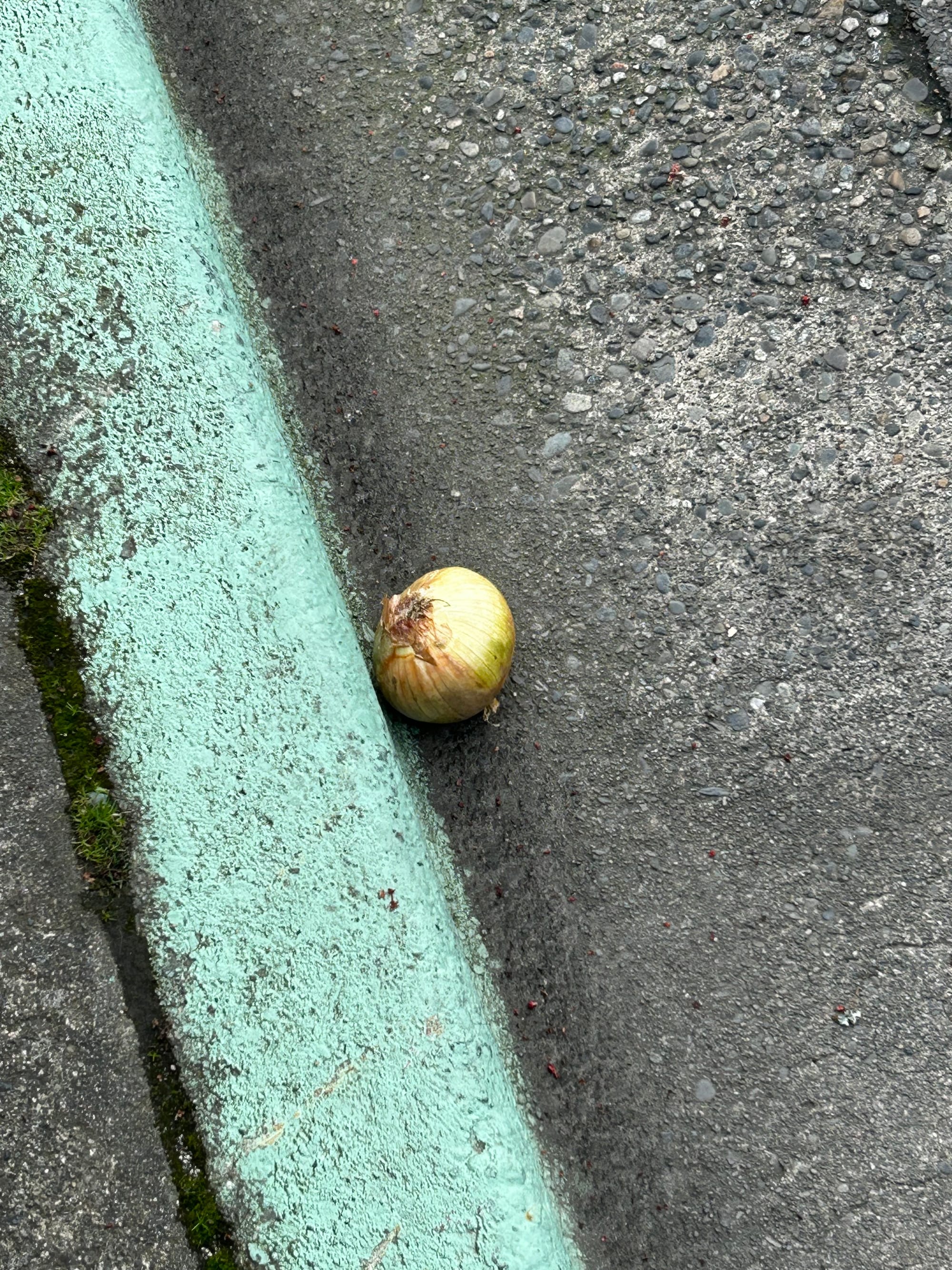green-blue painted curb with an onion resting next to it on grey asphalt