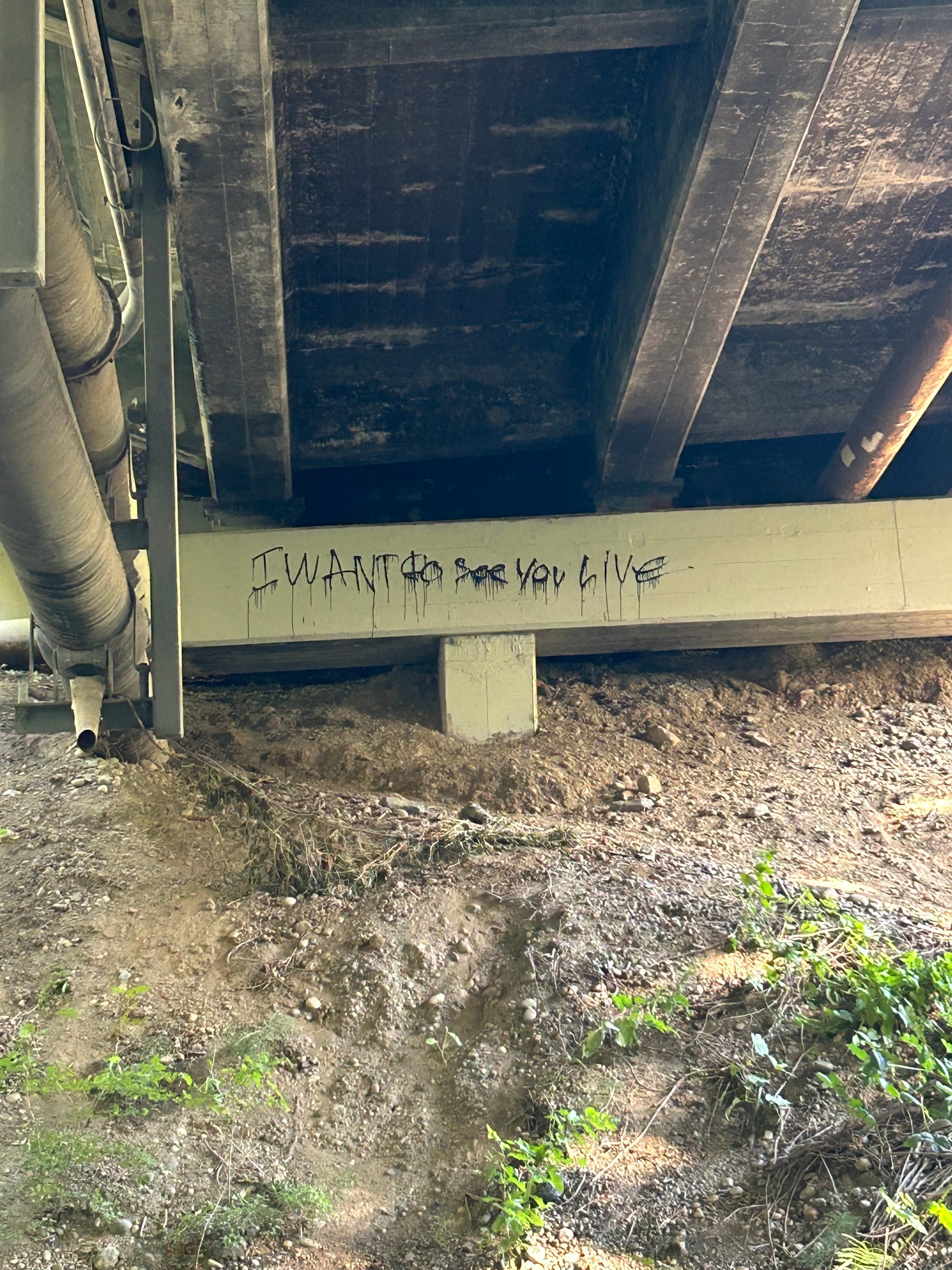 rocky dirt and a concrete bridge underpass with dripping graffitti reading "I WANT TO SEE YOU LIVE"