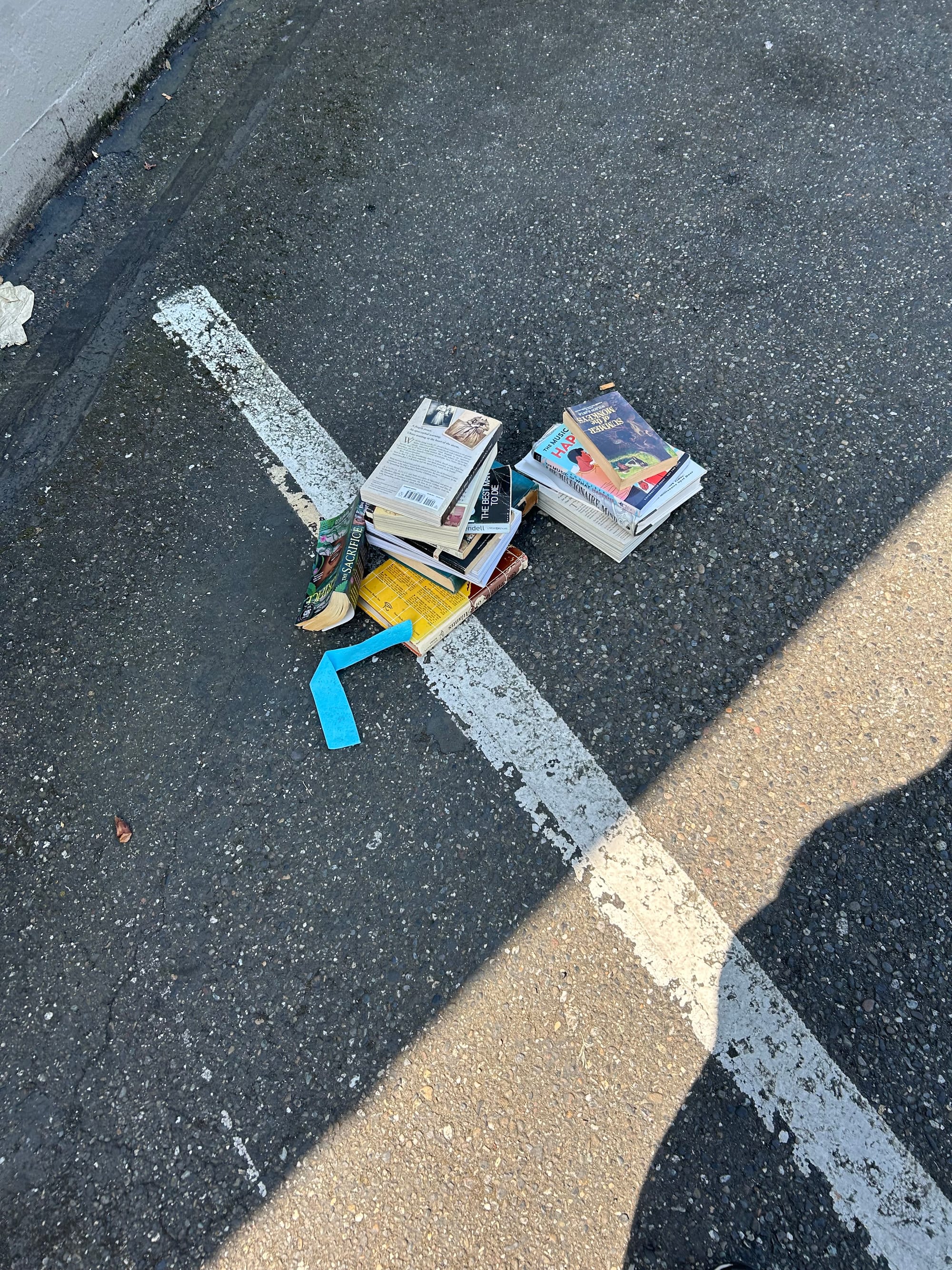 abandoned pile of books in a parking lot, scattered across the white parking line and grey asphalt