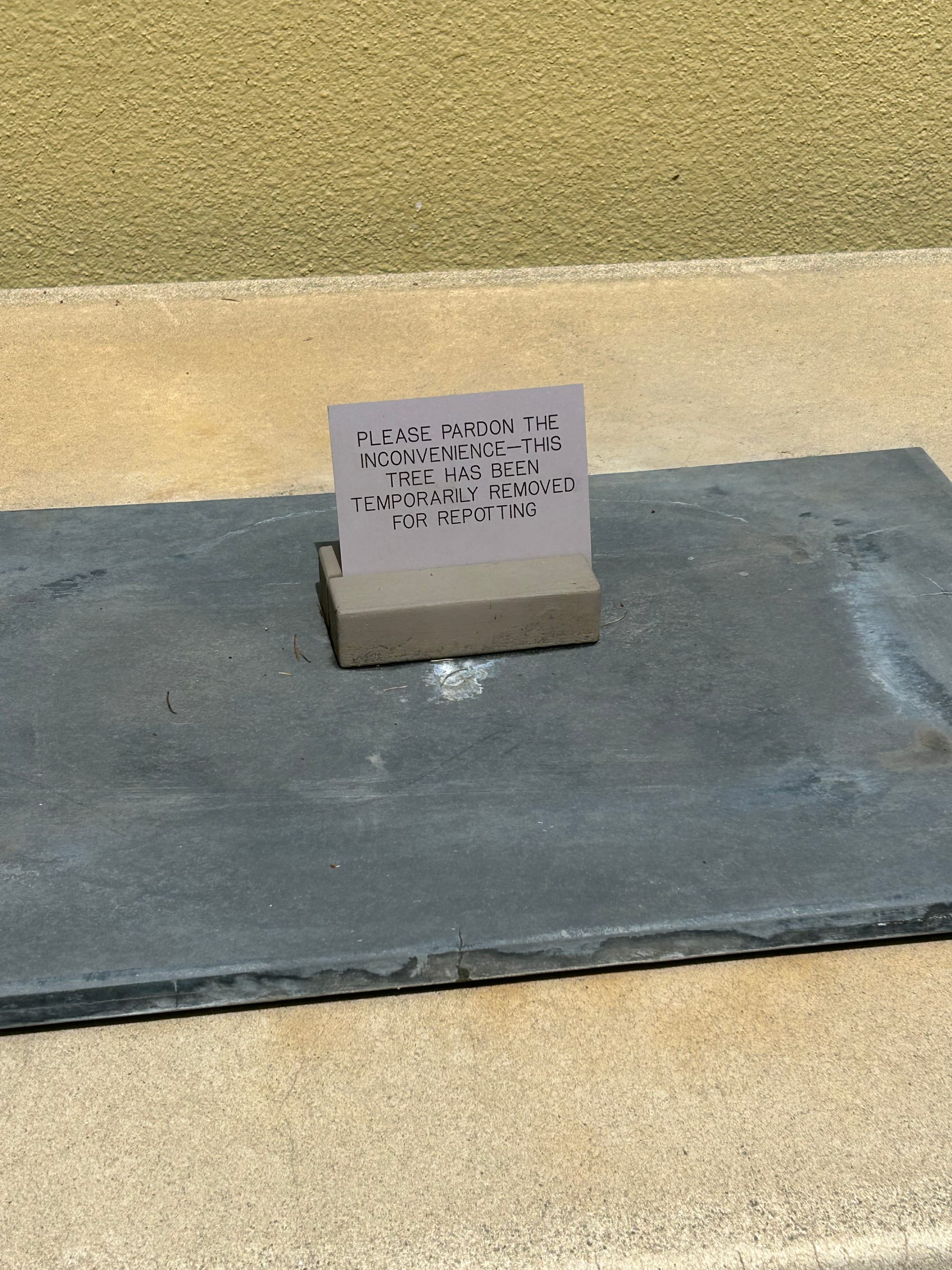 a small metal sign that reads "Please pardon the inconvenience--this tree has been temporarily removed for repotting." The sign on a dark grey slab which is set on a tan concrete platform.