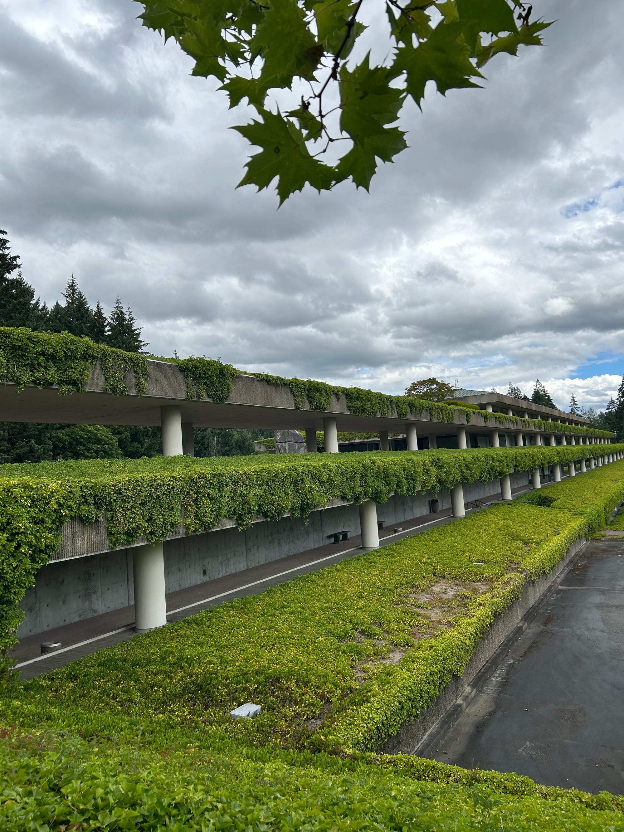 A long cement building with repeating pillars largely covered in overgrown green vines, grey cloudy sky above with a bit of blue