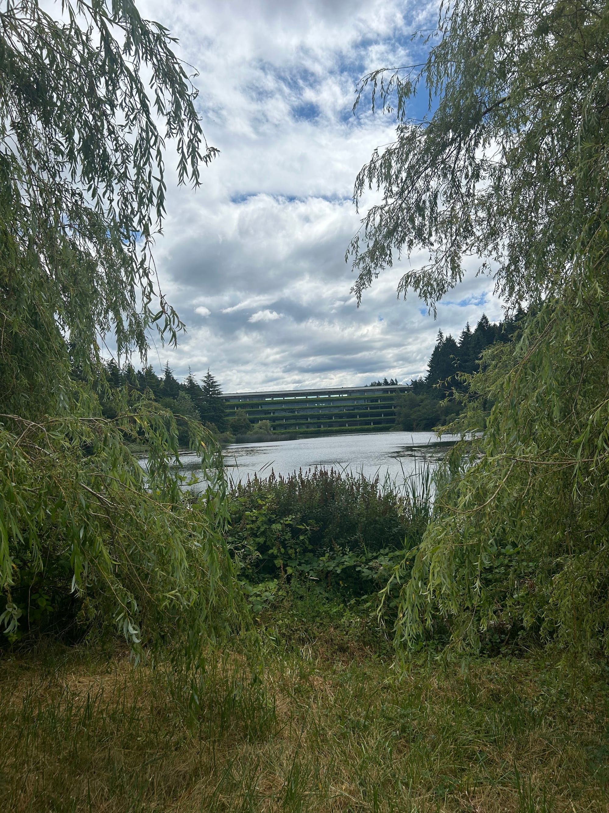 view of a long low cement and glass building across a pond, framed by two willows. cloudy sky above with some blue.