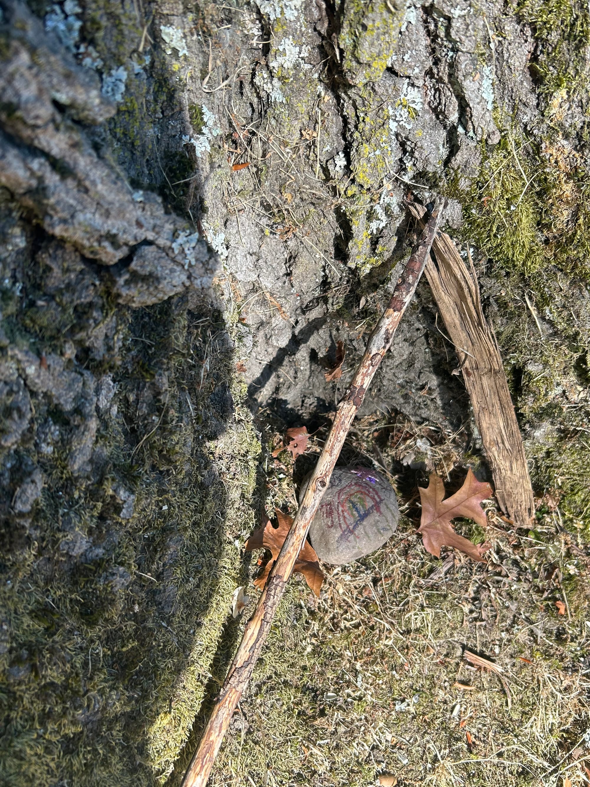 hollow at the base of a large tree where some sticks, leaves, and a grey rock with glittery paint on it have been carefully placed
