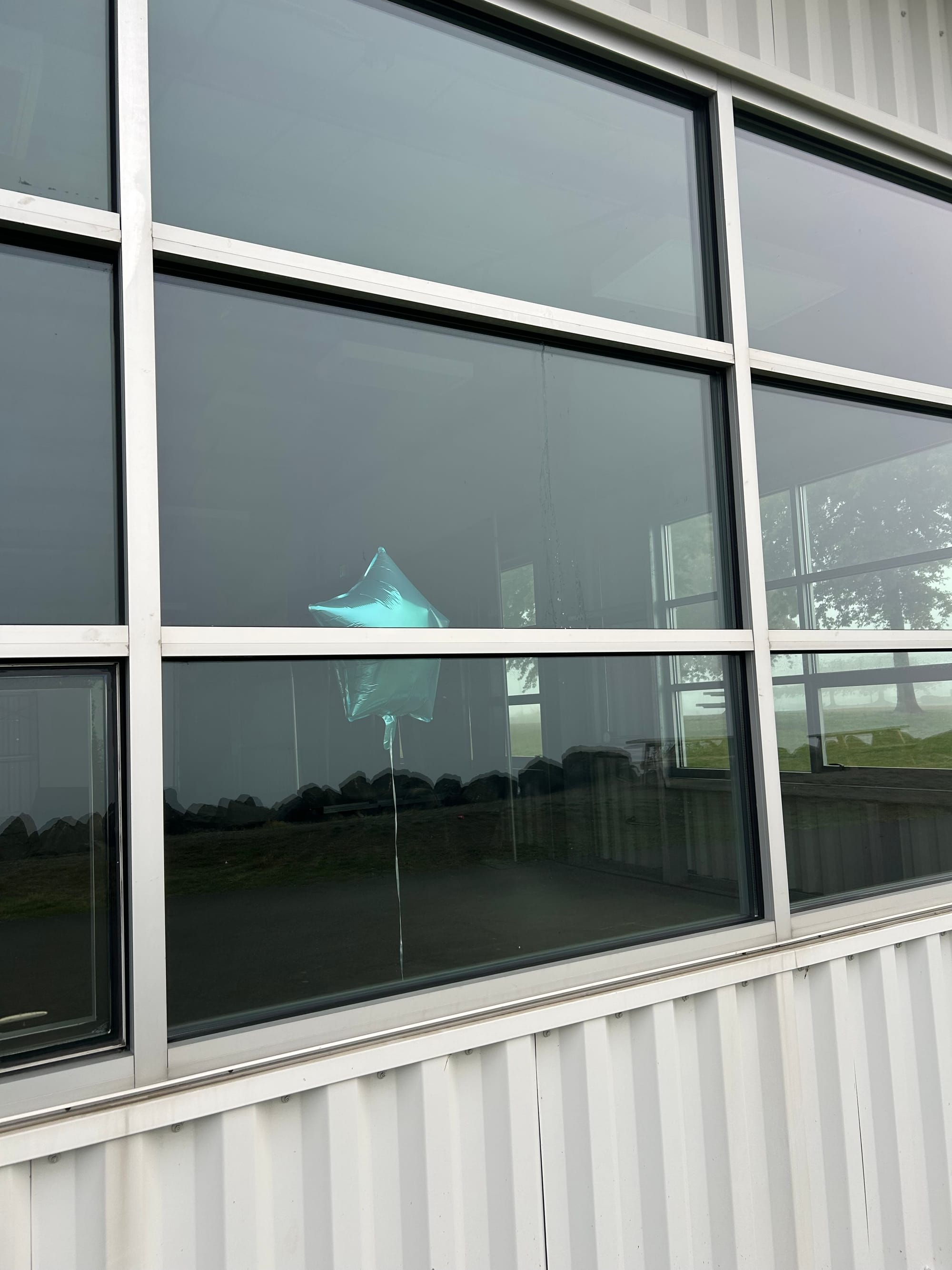 a blue balloon shaped like a star pressed up against a large glass window. the window is set into a corrugated metal building. there are trees and mist visible in the opposite window.