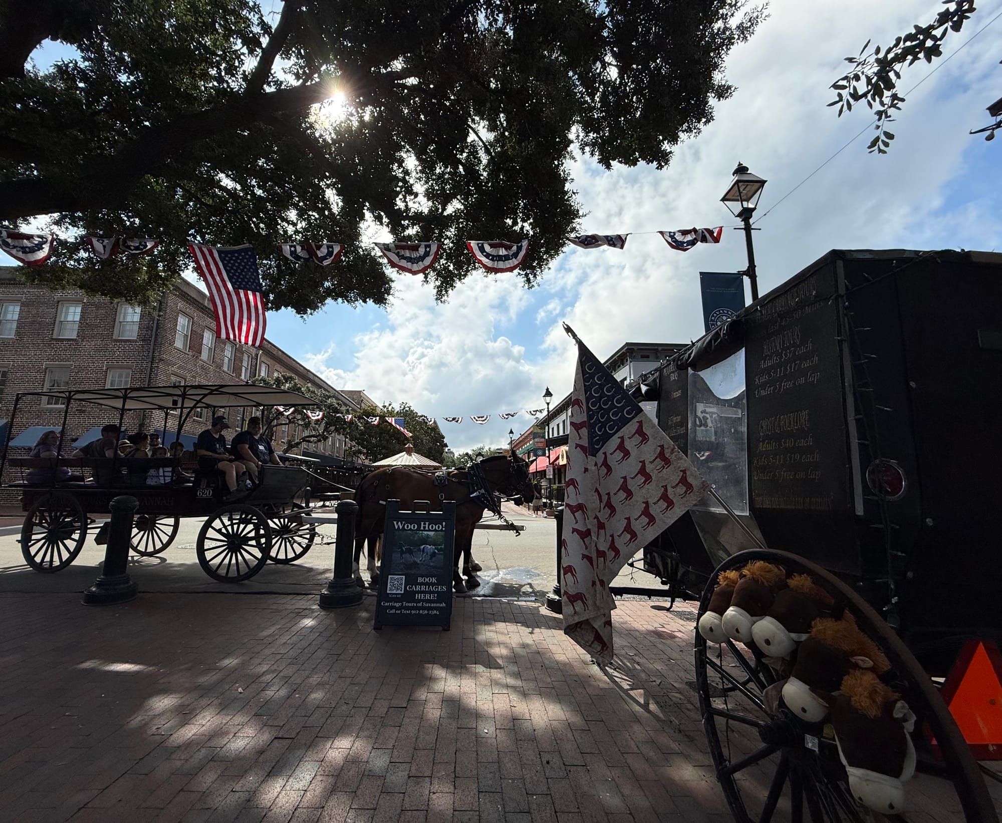 'Why are we even having this conversation?' Carriage tour operator speaks about potential City rule changes