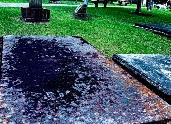 Enter the asylum rabbit hole: Another Savannah cemetery mystery