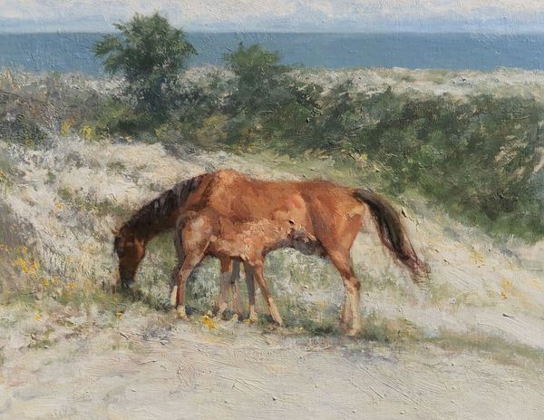 Cumberland Island ponies on display in paintings by Mitchell Lee Kolbe at Grand Bohemian Gallery