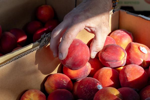 New Farmers Market comes to Midtown on a weekday