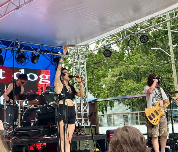 Wet hot Dog Days summer: A music festival review