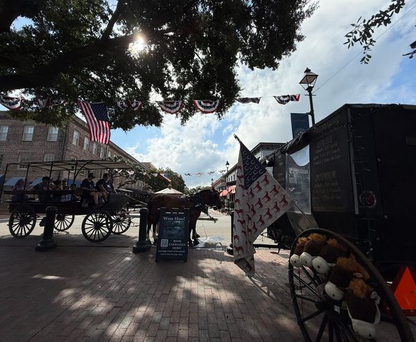 'Why are we even having this conversation?' Carriage tour operator speaks about potential City rule changes