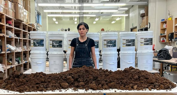 Raheleh Filsoofi: Experiencing (Un)Grounded at the Jepson Center