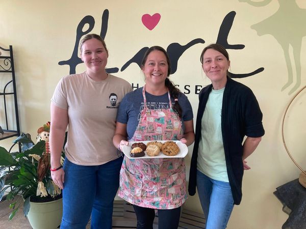 Mary's Place commemorates 50 years of service with 'Healing is Sweet' events