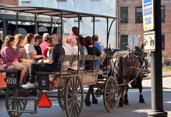 Letter to the Editor: City leaders should reconsider new horse carriage ordinance