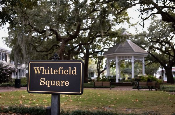 City plans archaeological research into historic Black burial ground at Whitefield Square