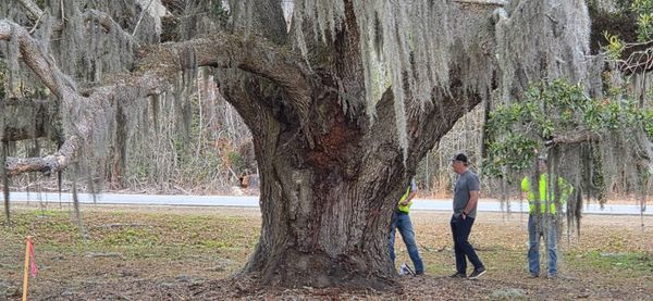 We’re all tree-huggers now: Grassroots efforts grow as environmental threats spread to previously unaffected areas